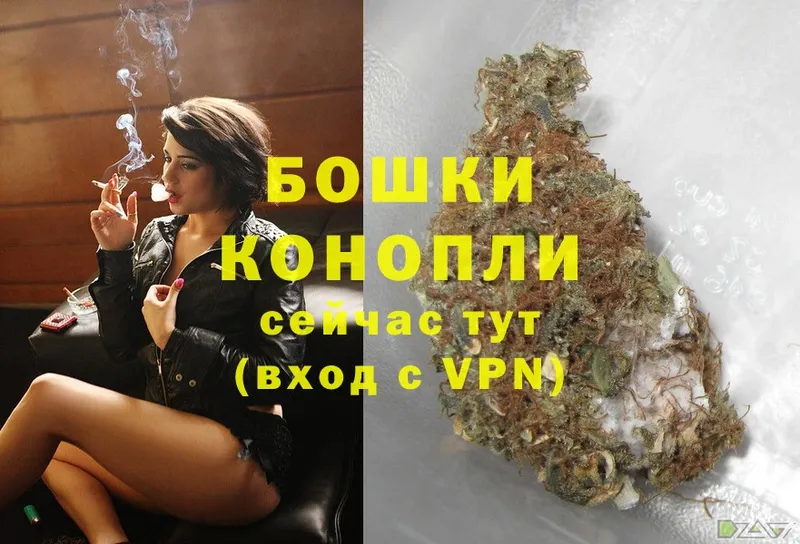 где можно купить   Губаха  MEGA ТОР  Каннабис THC 21% 